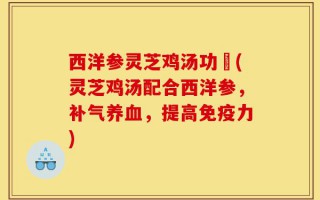 西洋参灵芝鸡汤功効(灵芝鸡汤配合西洋参，补气养血，提高免疫力)