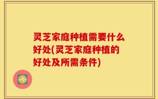 灵芝家庭种植需要什么好处(灵芝家庭种植的好处及所需条件)