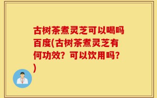 古树茶煮灵芝可以喝吗百度(古树茶煮灵芝有何功效？可以饮用吗？)