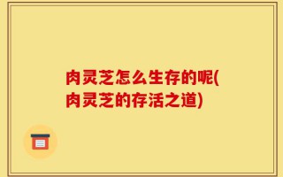 肉灵芝怎么生存的呢(肉灵芝的存活之道)