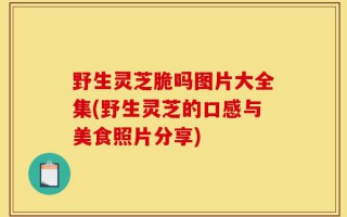 野生灵芝脆吗图片大全集(野生灵芝的口感与美食照片分享)