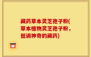 藏药草本灵芝孢子粉(草本植物灵芝孢子粉，低调神奇的藏药)