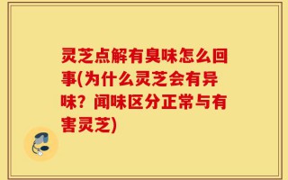 灵芝点解有臭味怎么回事(为什么灵芝会有异味？闻味区分正常与有害灵芝)