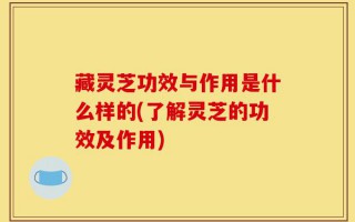 藏灵芝功效与作用是什么样的(了解灵芝的功效及作用)