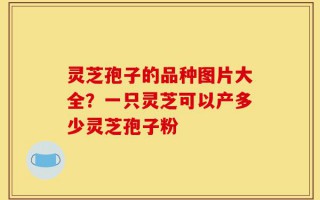 灵芝孢子的品种图片大全？一只灵芝可以产多少灵芝孢子粉