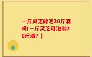 一斤灵芝能泡20斤酒吗(一斤灵芝可泡制20斤酒？)