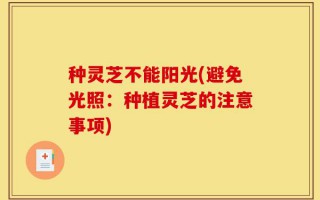 种灵芝不能阳光(避免光照：种植灵芝的注意事项)