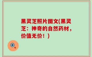 黑灵芝照片图文(黑灵芝：神奇的自然药材，价值无价！)