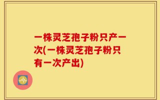 一株灵芝孢子粉只产一次(一株灵芝孢子粉只有一次产出)