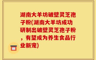 湖南大羊坊破壁灵芝孢子粉(湖南大羊坊成功研制出破壁灵芝孢子粉，有望成为养生食品行业新宠)