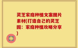灵芝家庭种植文案图片素材(打造自己的灵芝园：家庭种植攻略分享)
