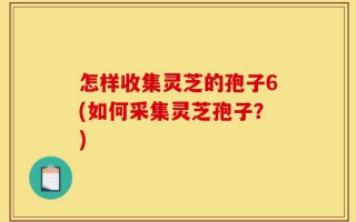 怎样收集灵芝的孢子6(如何采集灵芝孢子？)