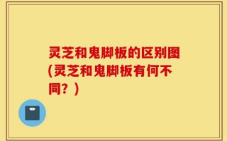 灵芝和鬼脚板的区别图(灵芝和鬼脚板有何不同？)