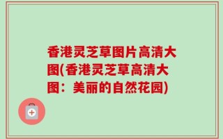 香港灵芝草图片高清大图(香港灵芝草高清大图：美丽的自然花园)