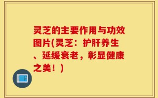 灵芝的主要作用与功效图片(灵芝：护肝养生、延缓衰老，彰显健康之美！)