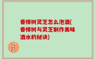 香樟树灵芝怎么泡酒(香樟树与灵芝制作美味酒水的秘诀)