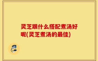 灵芝跟什么搭配煮汤好呢(灵芝煮汤的最佳)