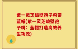 紫一灵芝破壁孢子粉带蓝帽(紫一灵芝破壁孢子粉：蓝帽打造高效养生功效)