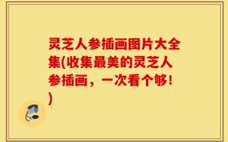 灵芝人参插画图片大全集(收集最美的灵芝人参插画，一次看个够！)