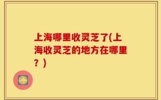 上海哪里收灵芝了(上海收灵芝的地方在哪里？)