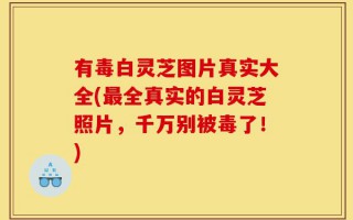 有毒白灵芝图片真实大全(最全真实的白灵芝照片，千万别被毒了！)