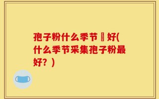 孢子粉什么季节釆好(什么季节采集孢子粉最好？)