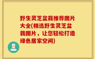 野生灵芝盆栽推荐图片大全(精选野生灵芝盆栽图片，让您轻松打造绿色居家空间)