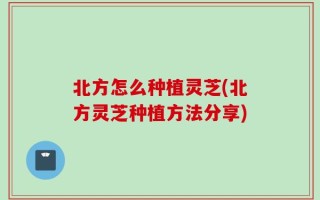 北方怎么种植灵芝(北方灵芝种植方法分享)