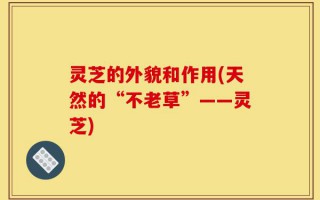 灵芝的外貌和作用(天然的“不老草”——灵芝)