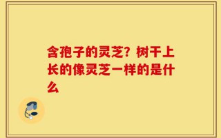 含孢子的灵芝？树干上长的像灵芝一样的是什么
