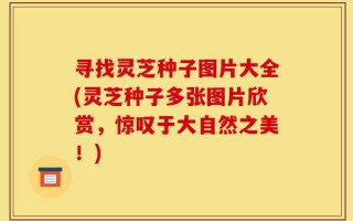 寻找灵芝种子图片大全(灵芝种子多张图片欣赏，惊叹于大自然之美！)