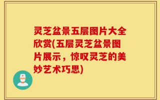 灵芝盆景五层图片大全欣赏(五层灵芝盆景图片展示，惊叹灵芝的美妙艺术巧思)