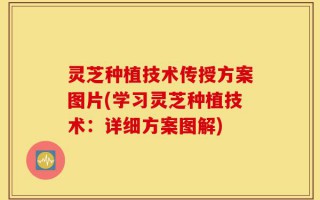 灵芝种植技术传授方案图片(学习灵芝种植技术：详细方案图解)
