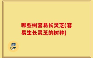 哪些树容易长灵芝(容易生长灵芝的树种)