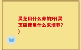灵芝用什么养的好(灵芝应使用什么来培养？)