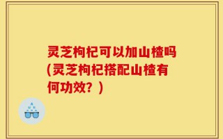 灵芝枸杞可以加山楂吗(灵芝枸杞搭配山楂有何功效？)