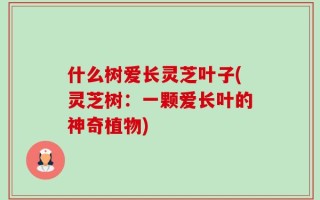 什么树爱长灵芝叶子(灵芝树：一颗爱长叶的神奇植物)