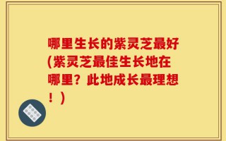 哪里生长的紫灵芝最好(紫灵芝最佳生长地在哪里？此地成长最理想！)