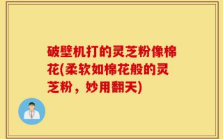 破壁机打的灵芝粉像棉花(柔软如棉花般的灵芝粉，妙用翻天)
