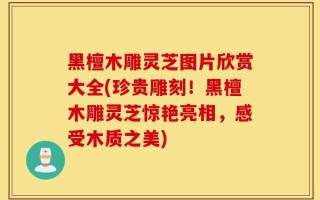 黑檀木雕灵芝图片欣赏大全(珍贵雕刻！黑檀木雕灵芝惊艳亮相，感受木质之美)