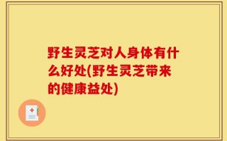 野生灵芝对人身体有什么好处(野生灵芝带来的健康益处)
