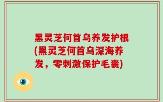 黑灵芝何首乌养发护根(黑灵芝何首乌深海养发，零刺激保护毛囊)