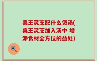 桑王灵芝配什么煲汤(桑王灵芝加入汤中 增添食材全方位的益处)