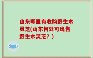 山东哪里有收购野生木灵芝(山东何处可出售野生木灵芝？)