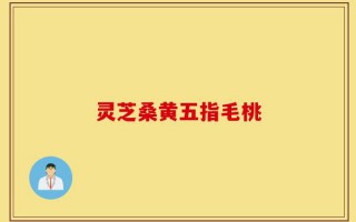 灵芝桑黄五指毛桃