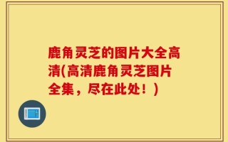 鹿角灵芝的图片大全高清(高清鹿角灵芝图片全集，尽在此处！)