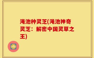 渑池种灵芝(渑池神奇灵芝：解密中国灵草之王)