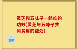 灵芝和五味子一起吃的功效(灵芝与五味子共同食用的益处)
