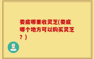 娄底哪里收灵芝(娄底哪个地方可以购买灵芝？)