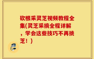 砍根采灵芝视频教程全集(灵芝采摘全程详解，学会这些技巧不再挑芝！)